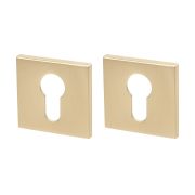 Накладка под цилиндр ET.K.YM FSG-39 флор. золото