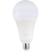 Лампа светодиодная Ресанта LL-R-A95-25W-230-4K-E27